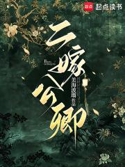 二嫁公卿 二嫁公卿