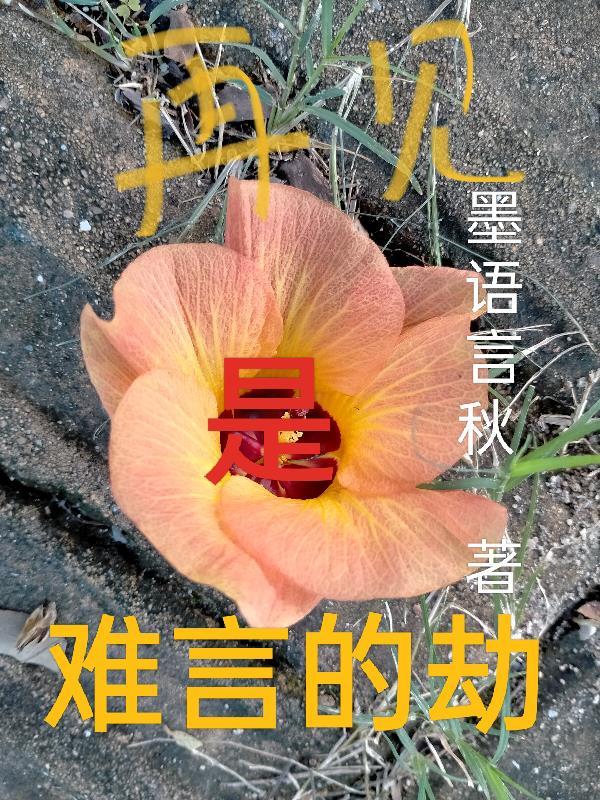 再见是难言的劫