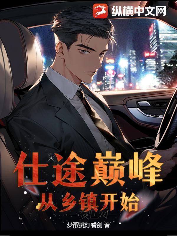 仕途巅峰：从乡镇开始