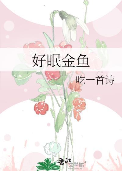 好眠金鱼 好眠金鱼