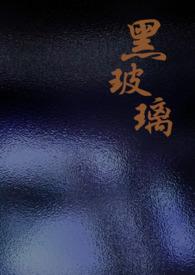 黑玻璃 黑玻璃