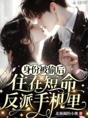 身份被偷后，住在短命反派手机里